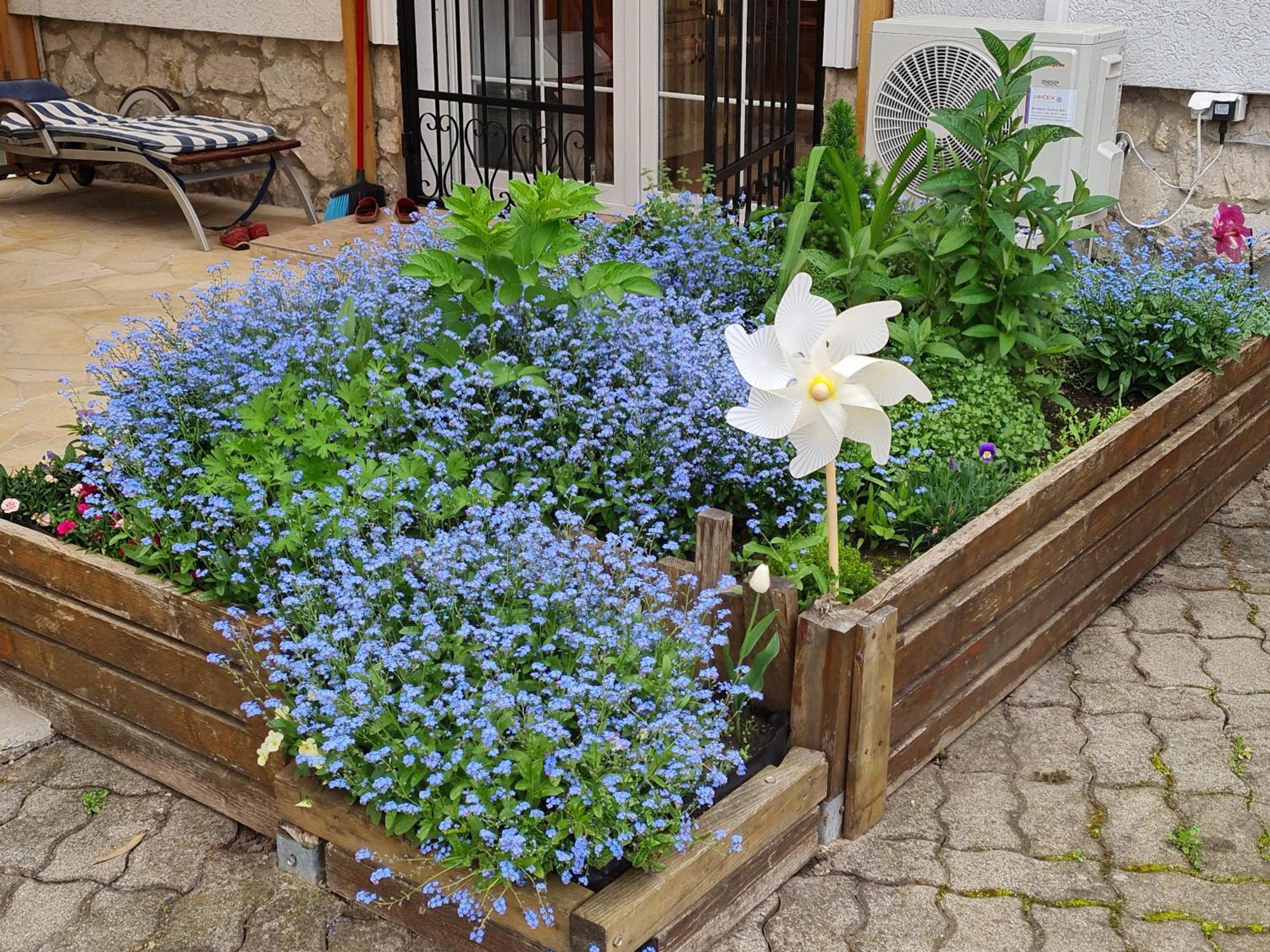 Ferienwohnung Ginger House Keszthely Exterior foto